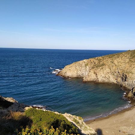 T 2 Tout Confort Avec Terrasse Vue Mer Et Montagne. バニュルス・シュル・メール エクステリア 写真